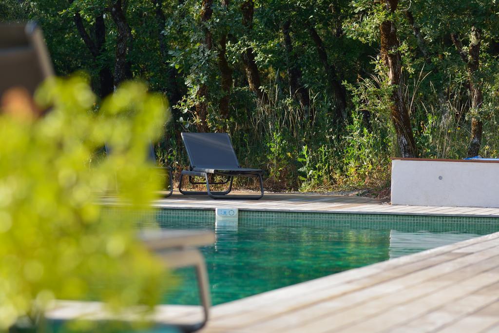סן-מקסימין-לה-סנט-בום Sous Les Oliviers - Piscine Chauffee - Studios De Standing Tout-Equipes מראה חיצוני תמונה