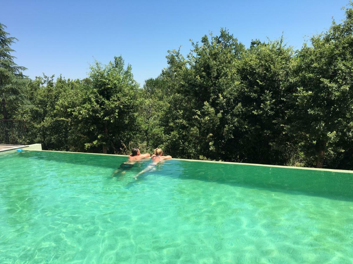 סן-מקסימין-לה-סנט-בום Sous Les Oliviers - Piscine Chauffee - Studios De Standing Tout-Equipes מראה חיצוני תמונה